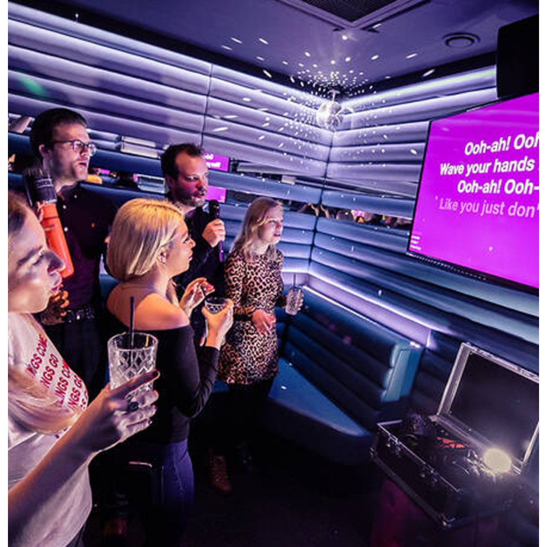 Karaoke Set Huren Bruiloft €75,00 per dag